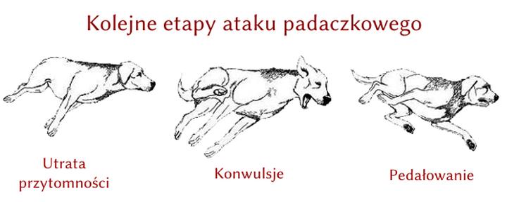 Jak wybrać między pedalowaniem a przebieraniem – kluczowe różnice i korzyści