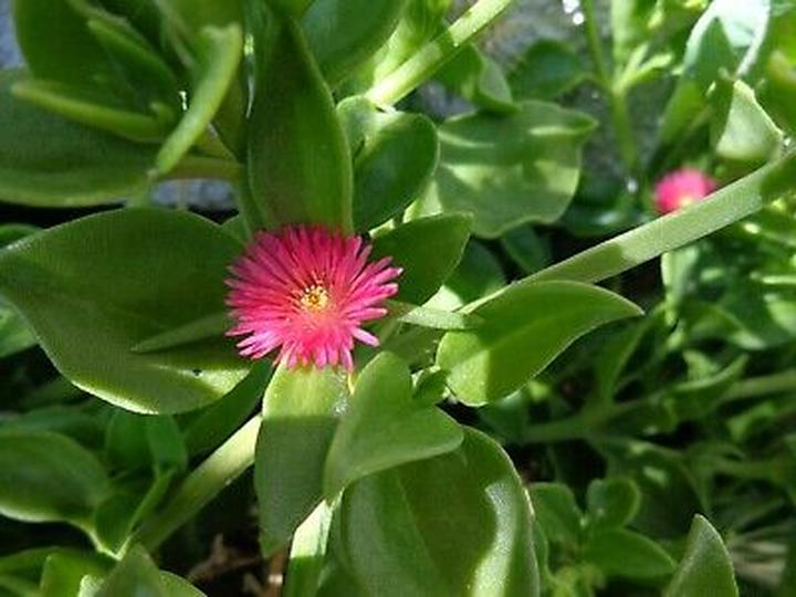 Nawilżenie skóry przed słońcem