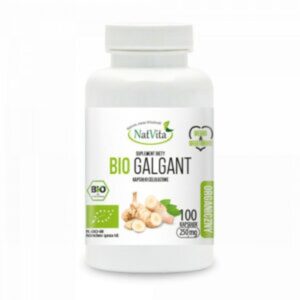 Galgant - odkryj jedną z najzdrowszych przypraw w Twojej kuchni