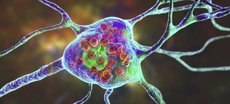 Spalanie kalorii a posiłki