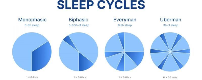 Strategie snu polifazowego