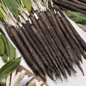 Czy wiesz, dlaczego warto poznać skorzonerę?