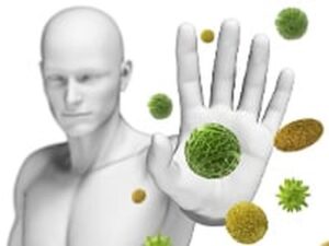 Jak trening wpływa na system immunologiczny? Odkrycia naukowe, które warto znać