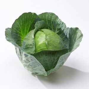 Kapusta biała czy czerwona – którą wybrać dla zdrowia i smaku?