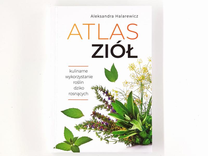 Wpływ ziół na smak potraw