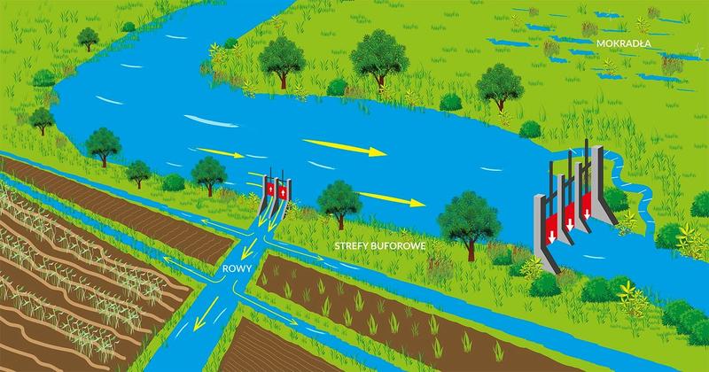 Zatrzymywanie wody w organizmie