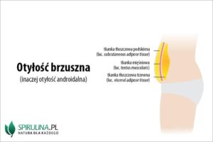 Jak nadmiar tkanki tłuszczowej wpływa na naszą zdolność myślenia?