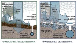 Nadmierne gromadzenie wody – jak pozbyć się zmory wielu kobiet?