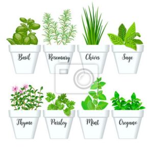 Odkryj moc ziół i przypraw w kuchni – smak, który zmienia wszystko