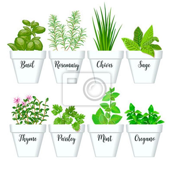 Odkryj moc ziół i przypraw w kuchni – smak, który zmienia wszystko