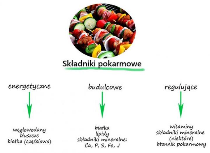 Składniki pokarmowe, które odmieniają kondycję skóry: odkryj ich niezwykły wpływ