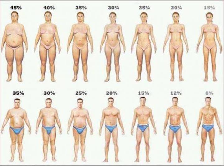 Diety restrykcyjne dlaczego nie działają