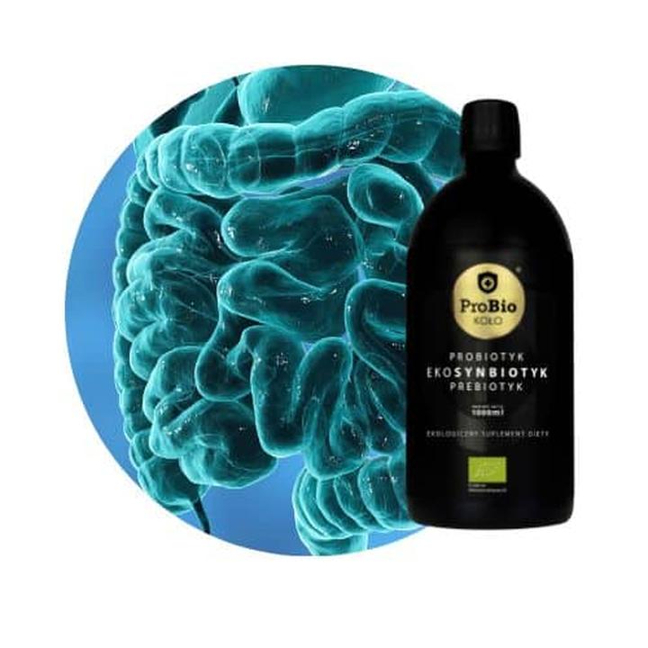 Ochrona zdrowia w podróży