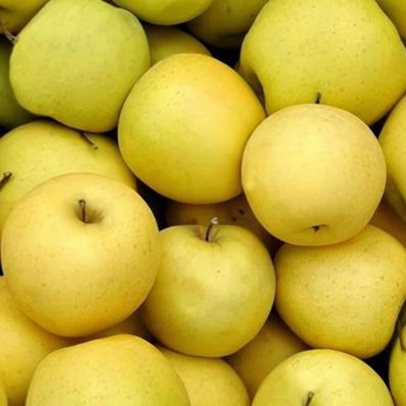 Właściwości zdrowotne ananasa