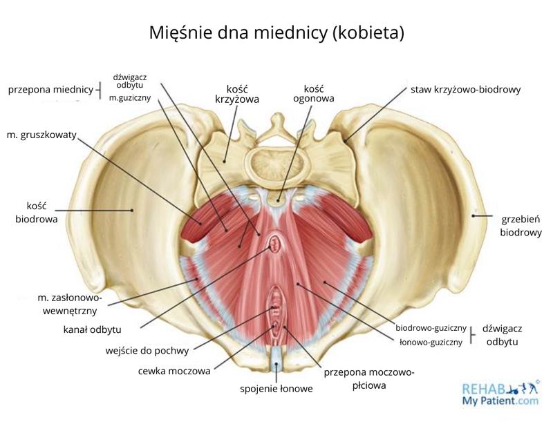Zdrowie intymne kobiet
