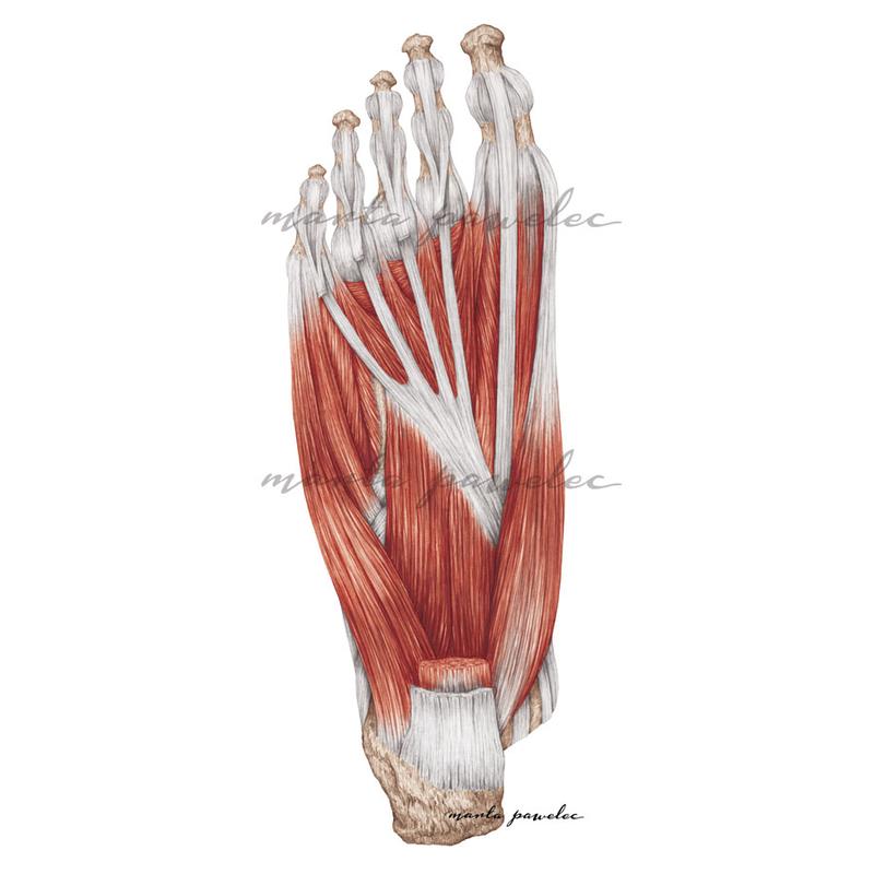 Metody oceny postępów treningowych