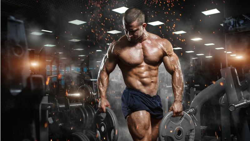 Optymalizacja wysokości treningu