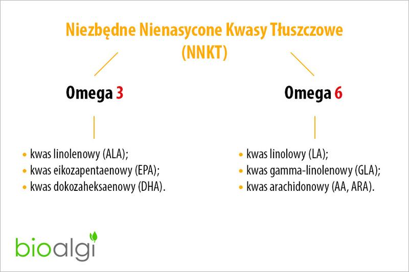 Wsparcie zdrowia serca