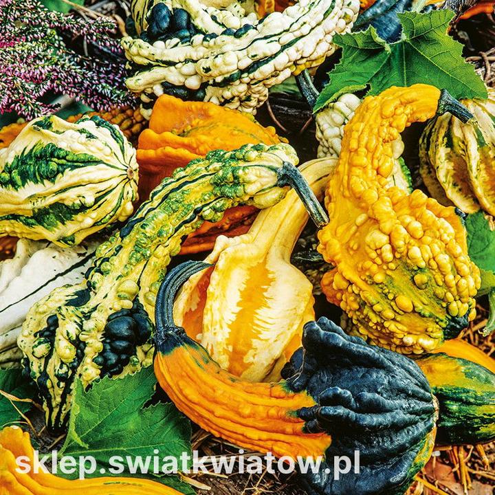 Zdrowa kuchnia jesienna