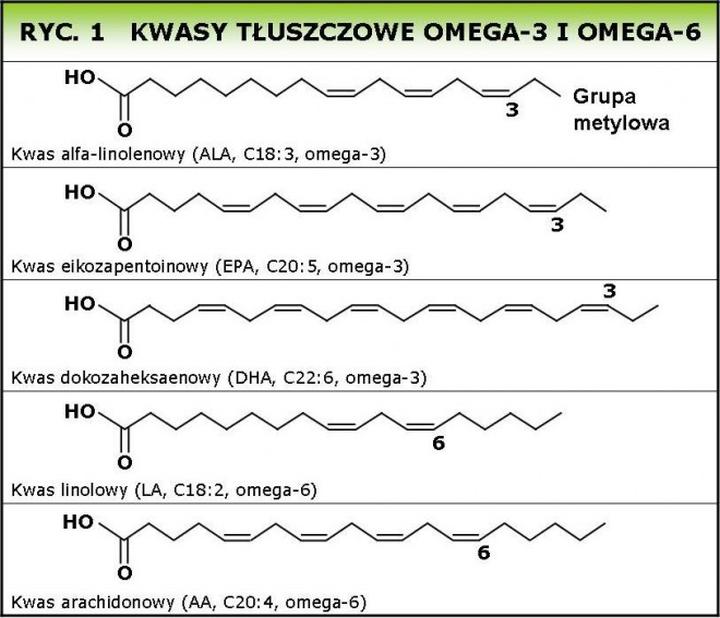 Źródła nienasyconych kwasów tłuszczowych