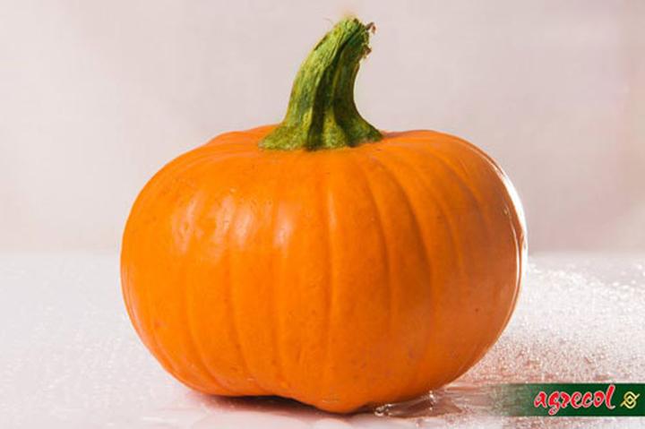 Pięć powodów, dla których dynia powinna zagościć w twoim menu