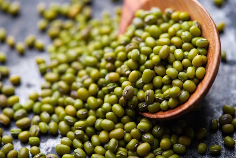 Fasola w diecie – odkryj, czy warto ją jeść dla zdrowia i smaku