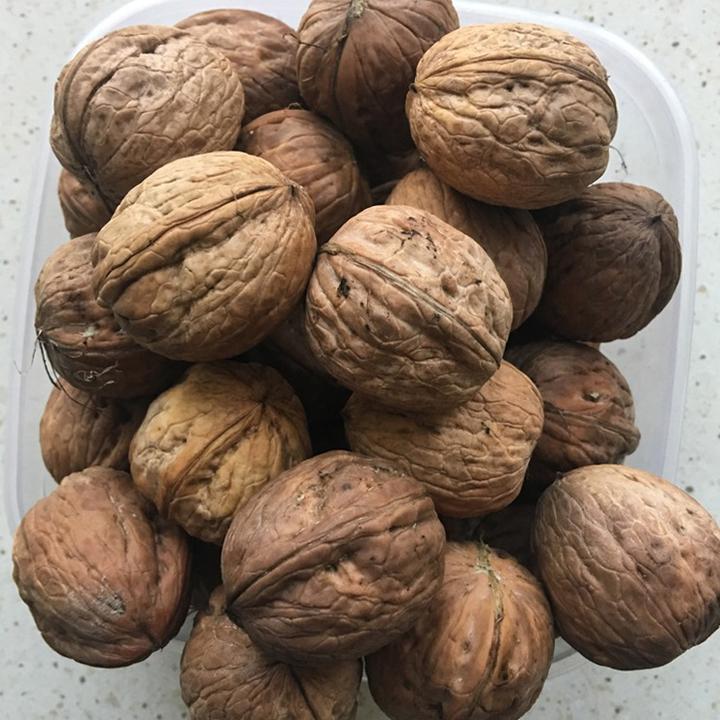 Sekrety orzechów włoskich: Co warto wiedzieć, by cieszyć się ich zdrowotnymi właściwościami