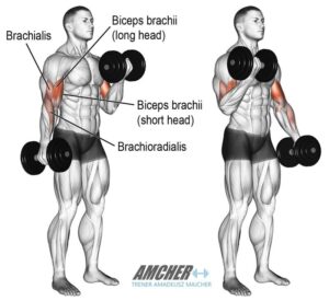 Sposoby na Wielkie Ramiona: Jak Skutecznie Trenować Biceps i Triceps