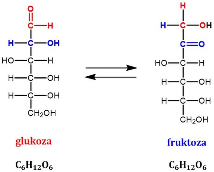 Fruktoza a otyłość