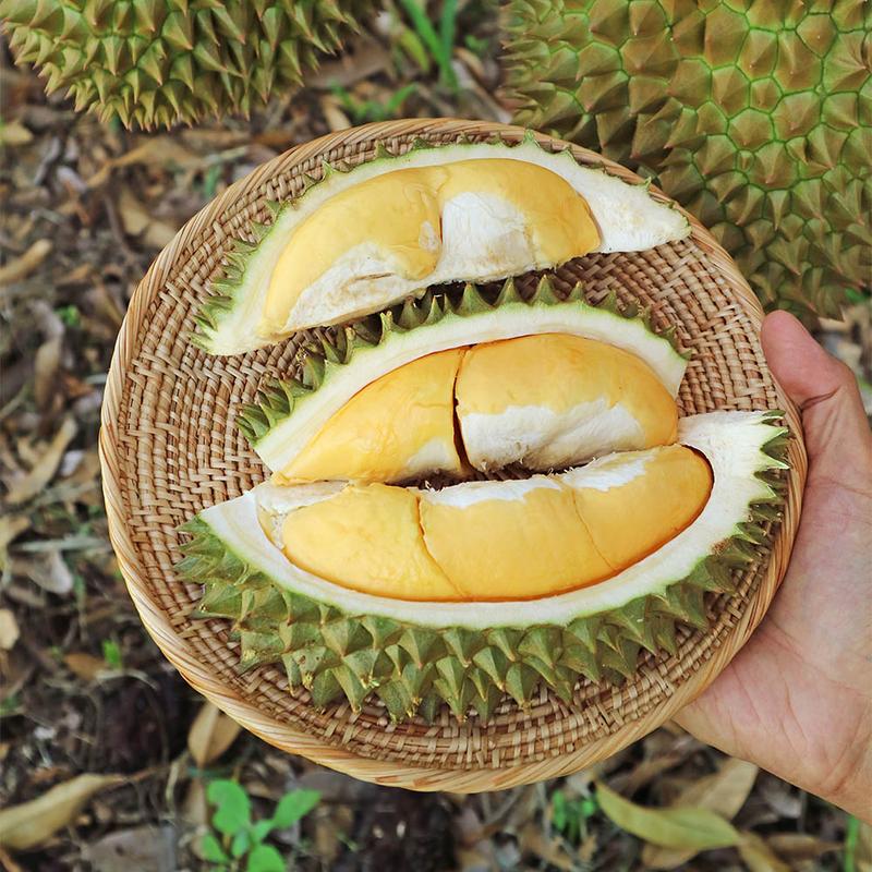 Owoc zmieniający odczuwanie smaku