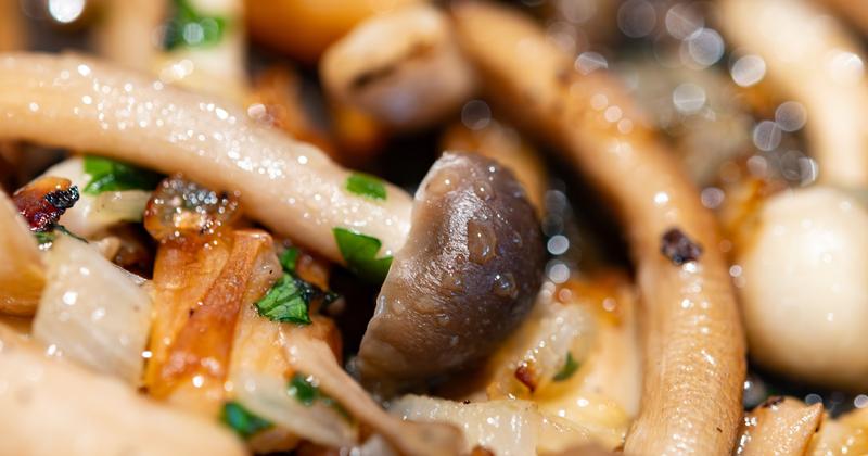 Przepisy wegańskie z grzybami