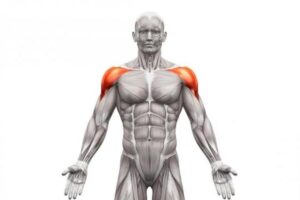 Jak skutecznie zbudować szerokie barki i uzyskać imponującą sylwetkę?