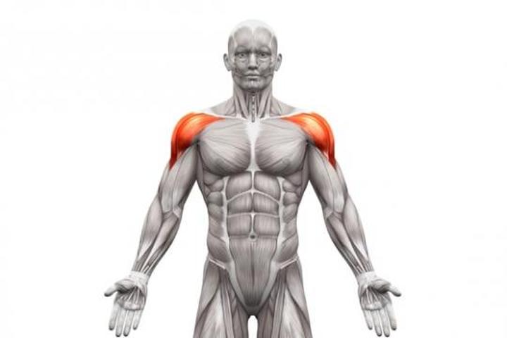 Jak skutecznie zbudować szerokie barki i uzyskać imponującą sylwetkę?