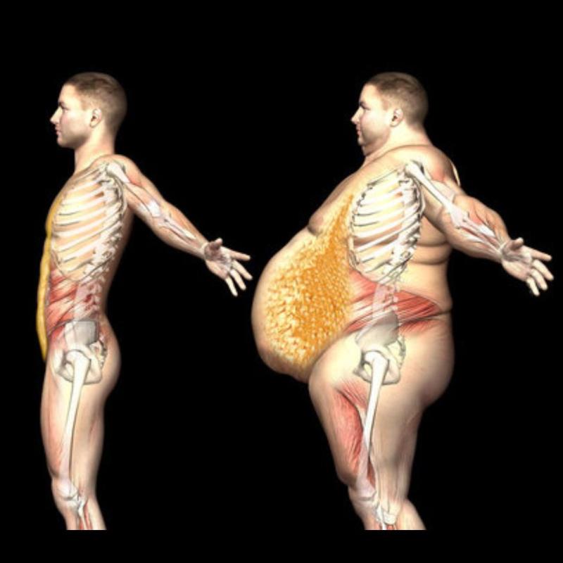 Produkty sprzyjające odkładaniu tłuszczu