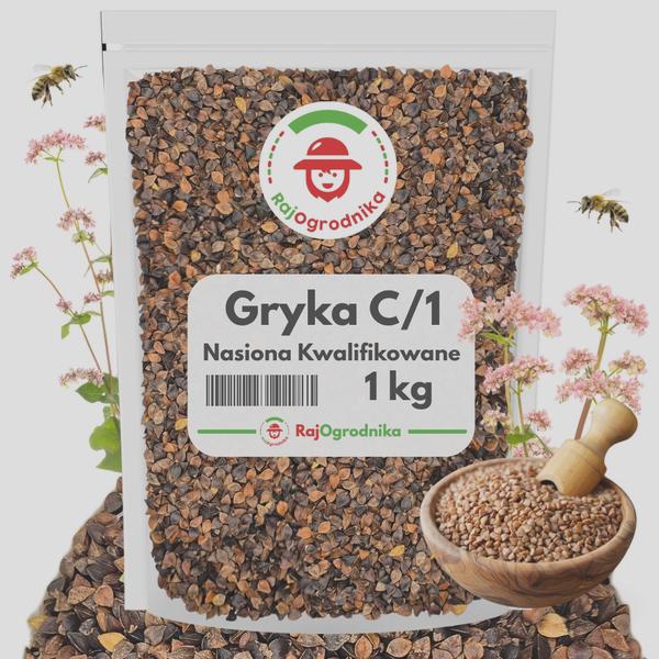 Zdrowe dania z gryki